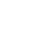 Check List Icon